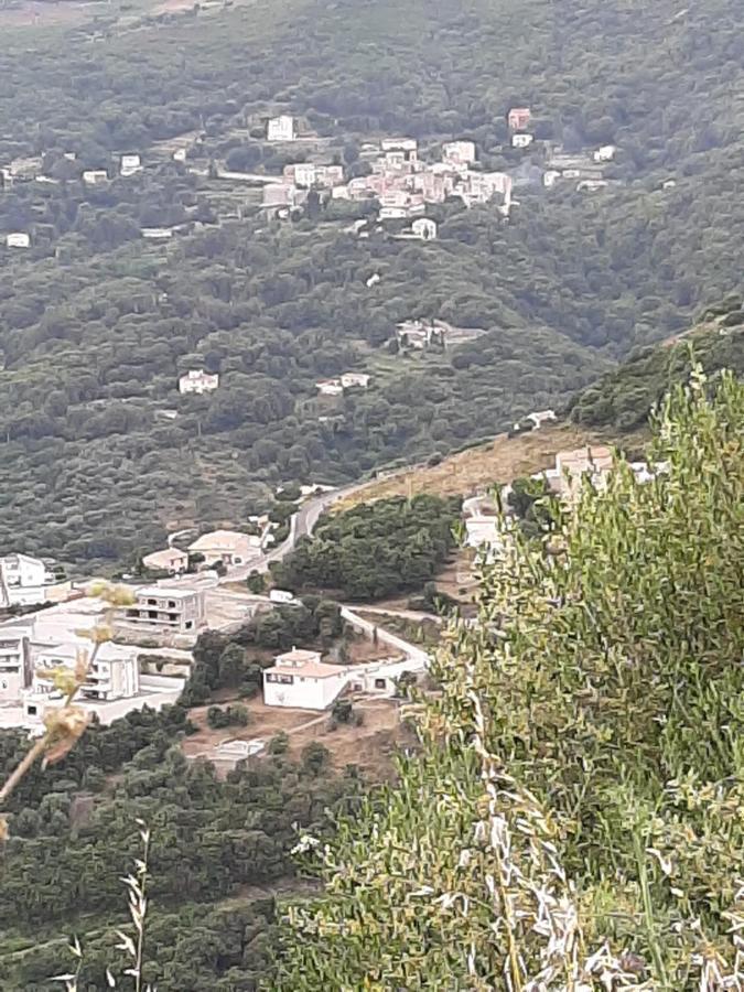 Ribellu Villa Bastia  Eksteriør bilde